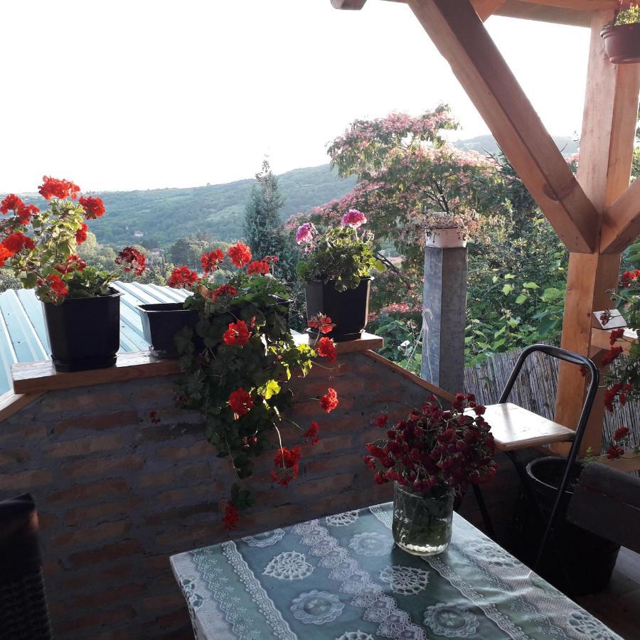 Apartment Noletov Vidikovac Връдник Екстериор снимка