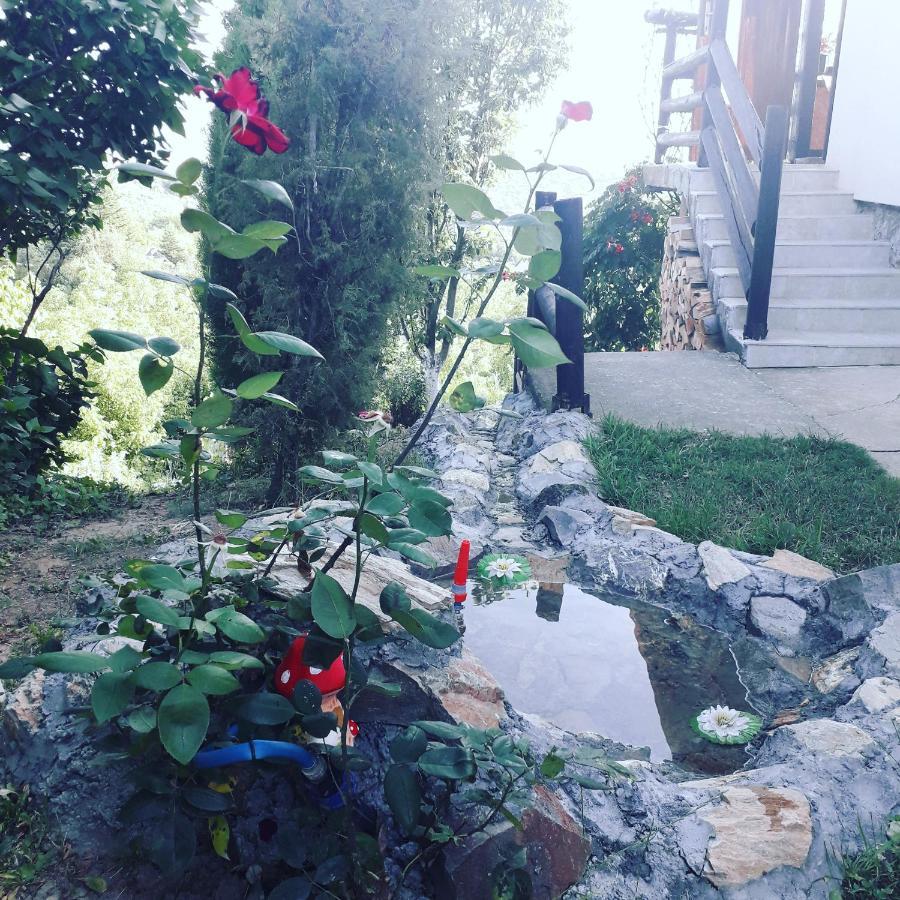 Apartment Noletov Vidikovac Връдник Екстериор снимка