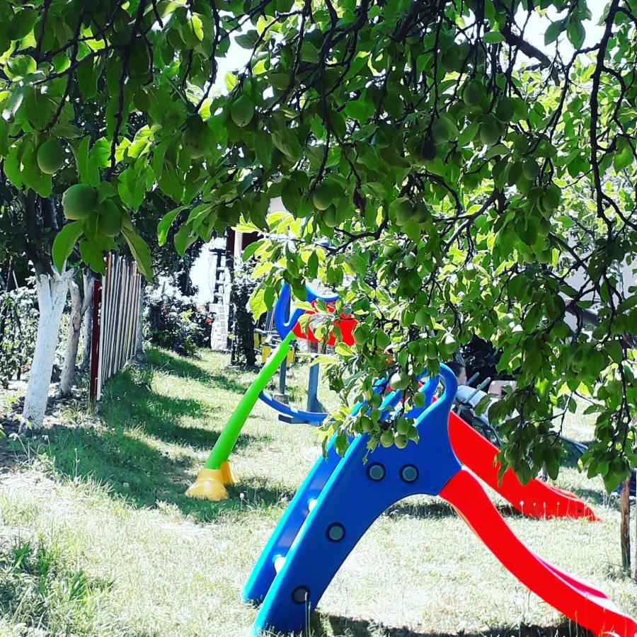 Apartment Noletov Vidikovac Връдник Екстериор снимка