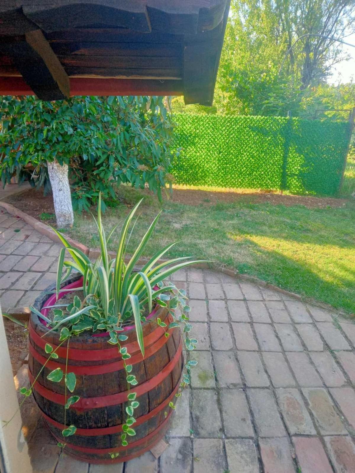 Apartment Noletov Vidikovac Връдник Екстериор снимка