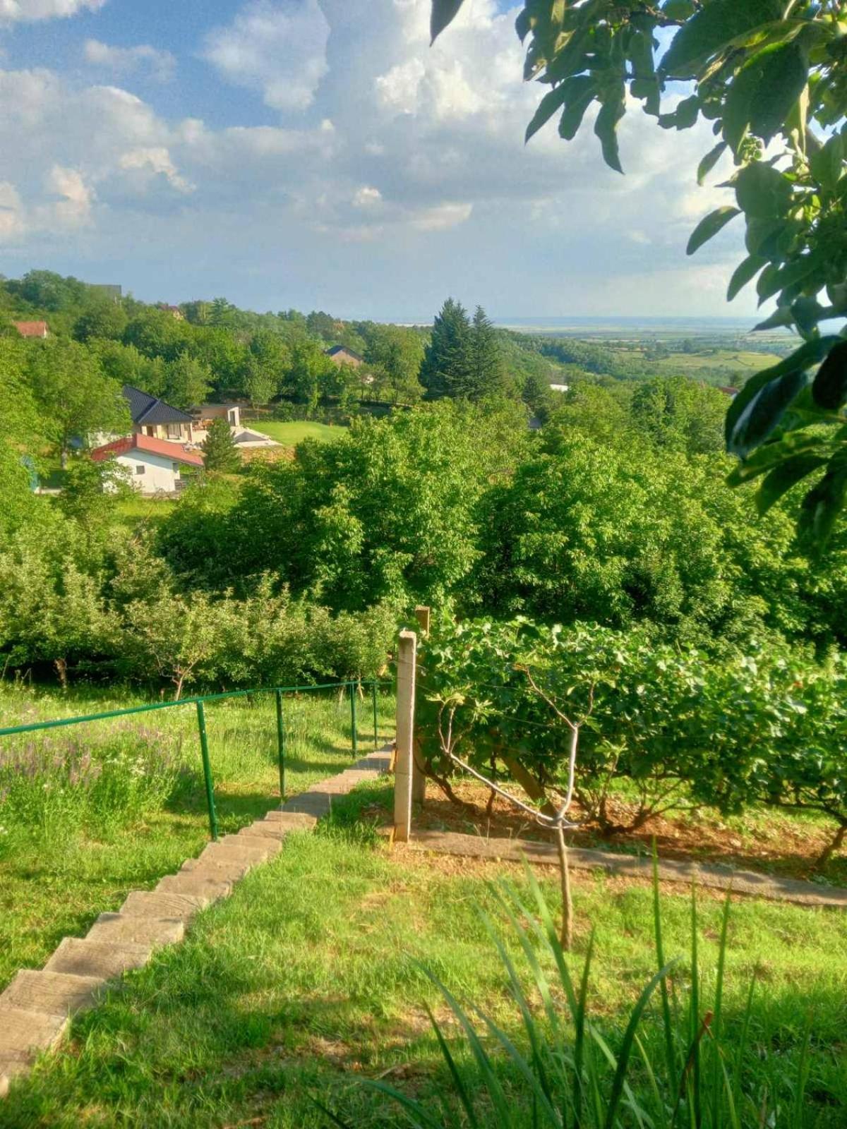 Apartment Noletov Vidikovac Връдник Екстериор снимка