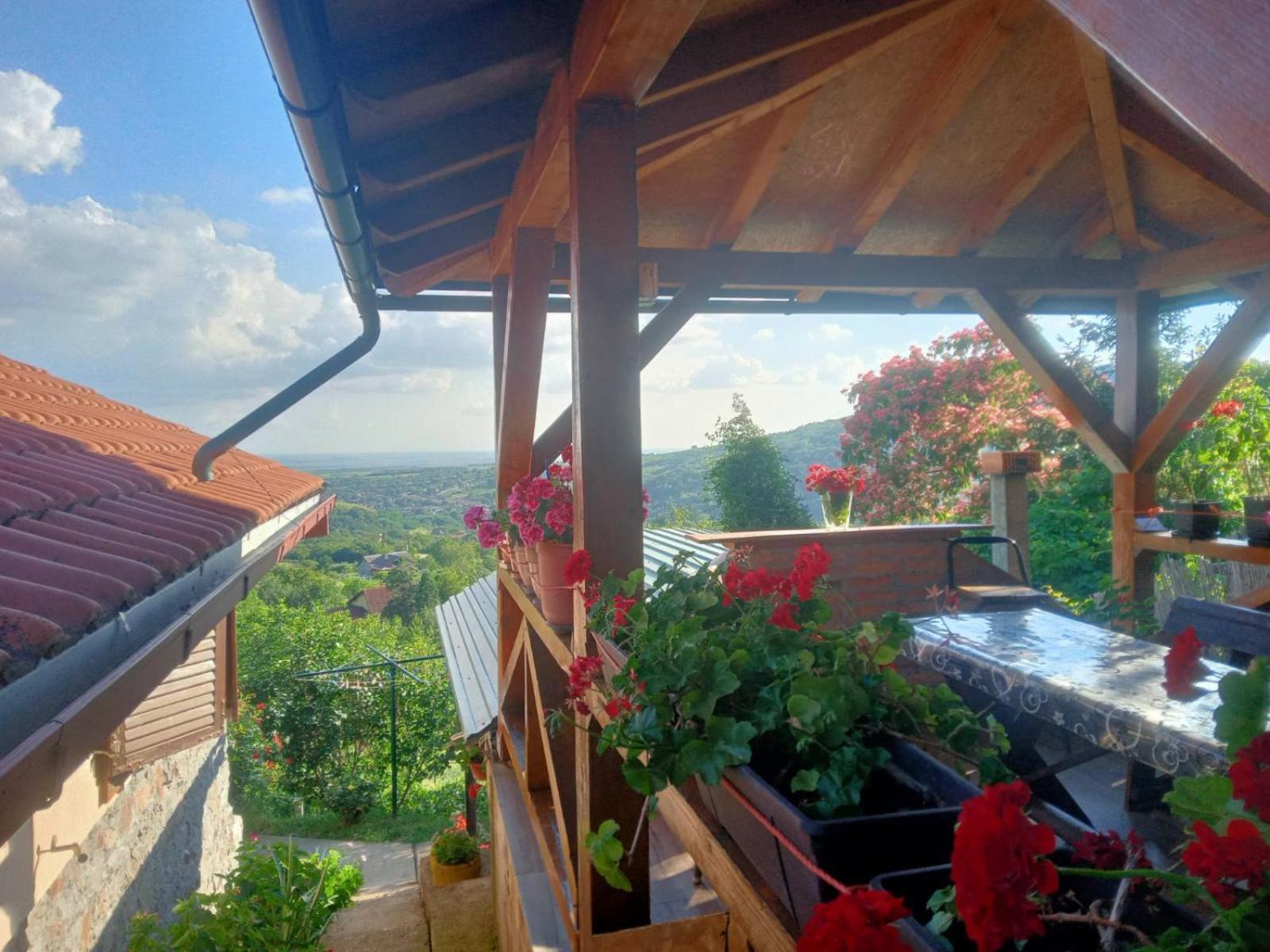 Apartment Noletov Vidikovac Връдник Екстериор снимка