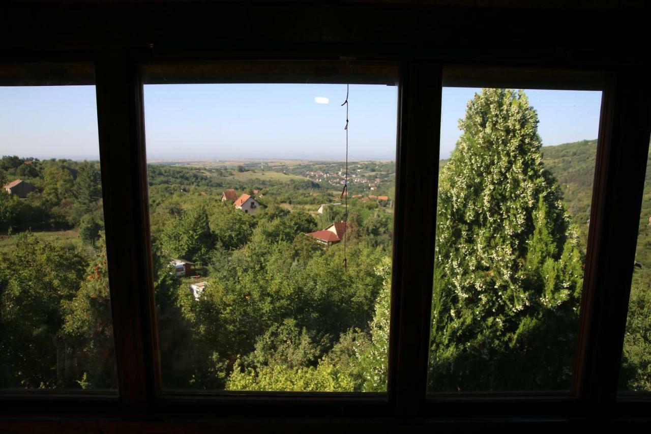 Apartment Noletov Vidikovac Връдник Екстериор снимка
